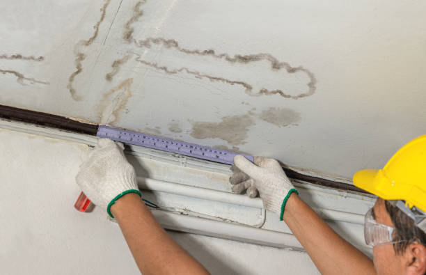 Reliable Water Damage contractor in Mark Center, OH by Water Damage Irwin